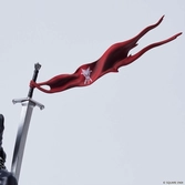 Eyes on home form-ism diorama final fantasy xvi