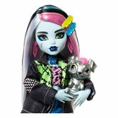 Monster high poupée frankie stein 25 cm