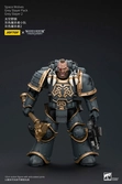 Warhammer the horus heresy figurine 1/18 space wolves grey slayer pack grey slayer 2 12 cm