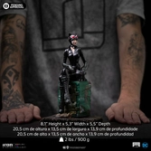 Dc comics statuette 1/10 art scale catwoman (gotham city sirens) 21 cm