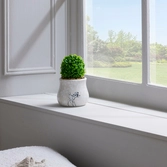 Disney - forest - bambi - pot + fausse plante