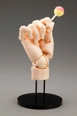 Takahiro kagami artist support item hand pvc 1/1 model/l pale orange 21 cm