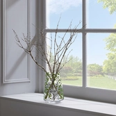 Disney - forest - bambi - vase