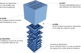 Inside 3 Labyrinthe 3D - Easy 0 : Bleu