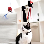 Spiderman - jouet - canne à pêche pour chat