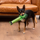 Marvel - hulk - jouet de dentition pour chien
