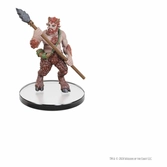 D&d classic collection miniatures prépeintes monsters s-t boxed set