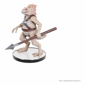 D&d classic collection miniatures prépeintes monsters s-t boxed set