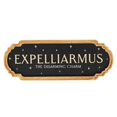 Harry potter - expelliarmus - décoration murale