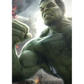 AGE OF ULTRON CHARACTERS - Magnetic Metal Poster 45x32 - Hulk