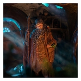 Le seigneur des anneaux statuette 1/6 radagast in rhosgobel limited edition 43 cm