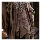 Le seigneur des anneaux statuette 1/6 radagast in rhosgobel limited edition 43 cm