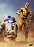 EPISODE IV A NEW HOPE- Magnetic Metal Poster 45x32 - Droids