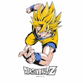 Verre Dragon Ball Z : Son Goku