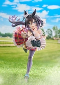 Uma musume pretty derby statuette pvc 1/7 eishin flash 19 cm