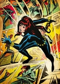MARVEL SILVER AGE - Magnetic Metal Poster 45x32 - Black Widow