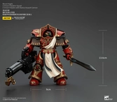 Warhammer the horus heresy figurine 1/18 blood angels crimson paladins squad crimson paladin with iliastus assault cannon 14 cm