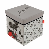 Mickey - tabouret & rangement - '30x30x30cm'