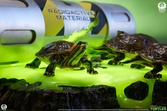Tortues ninja diorama 1/1 origins 13 cm