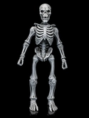 Graveyard skeletons pack 4 figurines