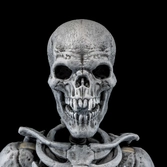 Graveyard skeletons pack 4 figurines