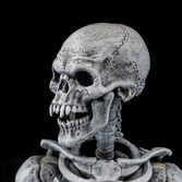 Graveyard skeletons pack 4 figurines