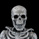 Graveyard skeletons pack 4 figurines