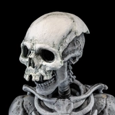 Graveyard skeletons pack 4 figurines