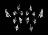Graveyard skeletons pack 4 figurines