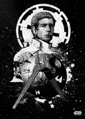 Star wars pilots - magnetic metal poster 45x32 - imperial shuttle