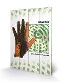 GENESIS - Impression sur Bois 40X59 - Invisble Touch