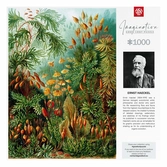 Ernst haeckel puzzle imagination muscinae (1000 pièces)