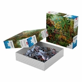 Ernst haeckel puzzle imagination muscinae (1000 pièces)