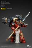 Warhammer the horus heresy figurine 1/18 blood angels raldoron first captain of the blood angels 13 cm