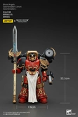 Warhammer the horus heresy figurine 1/18 blood angels dawnbreaker cohort dawnbreaker 1 13 cm