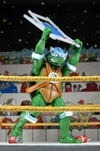 Stump wrestling turtles pack 4 scale action figuras 18 cm teenage mutant ninja turtles archie comics
