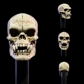 Mythic legions figurine the undead of vikenfell 15 cm