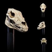 Mythic legions figurine the undead of vikenfell 15 cm