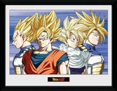 DRAGON BALL Z - Collector Print 30X40 - Group