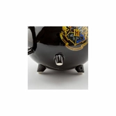 HARRY POTTER - 3D Mug 300 ml - Chaudron