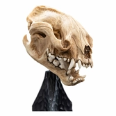 Le seigneur des anneaux statuette skull of a warg 20 cm