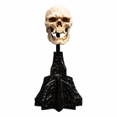 Le seigneur des anneaux statuette skull of a mordor orc 14 cm