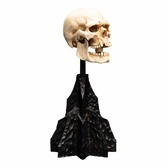 Le seigneur des anneaux statuette skull of a mordor orc 14 cm