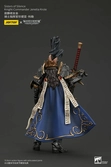 Warhammer the horus heresy actionfigur sisters of silenceknight-commander jenetia krole 19 cm