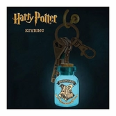 HARRY POTTER - Harry Potter Light Up Keyring