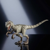 Jurassic world hammond collection figurine atrociraptor ghost