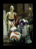 STAR WARS - Gel Coats Print 30X40 - Droids