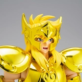 Saint Seiya Aquarius Hyoga Inheritor of the Gold Cloth Myth Cloth EX
