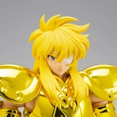 Saint Seiya Aquarius Hyoga Inheritor of the Gold Cloth Myth Cloth EX