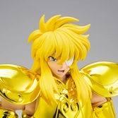 Saint Seiya Aquarius Hyoga Inheritor of the Gold Cloth Myth Cloth EX
